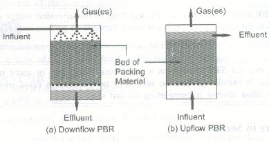 Packed Bed Reactor