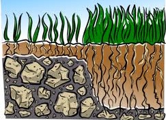 Soil Depth Factor in Irrigation Method Selection