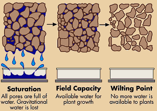 Soil Moisture Capacity