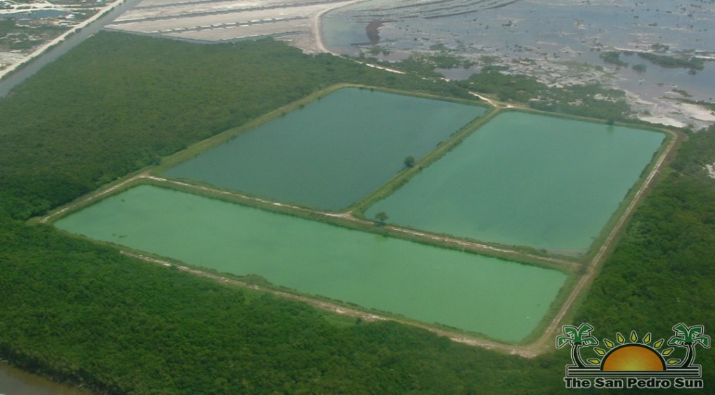 WasteWater Treatment Ponds