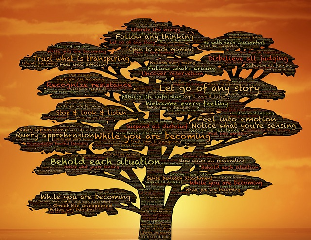 how-to-do-environmental-impact-assessment-process-of-eia