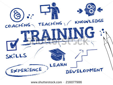 online primavera p6 training